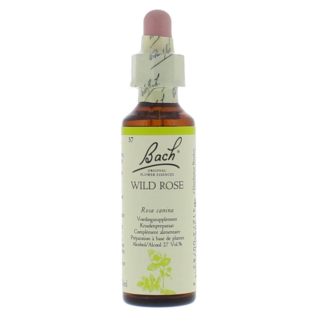 Bach bloesem No 37 Wild Rose - 20ml