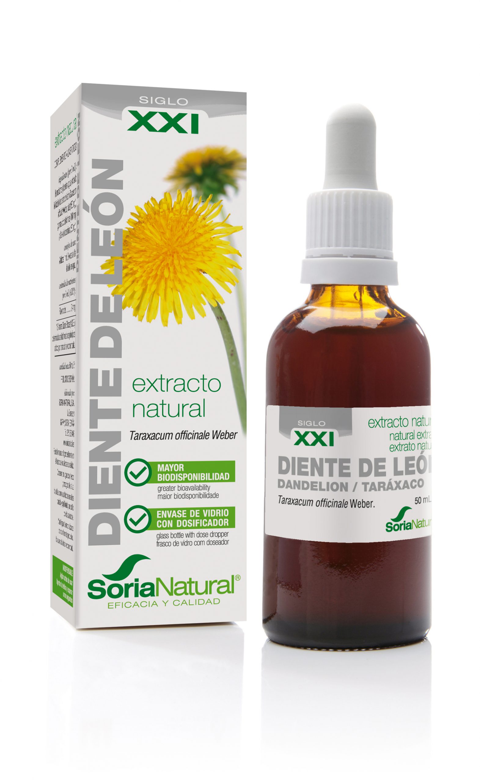 Taraxacum officinalis XXI extract - 50 ml