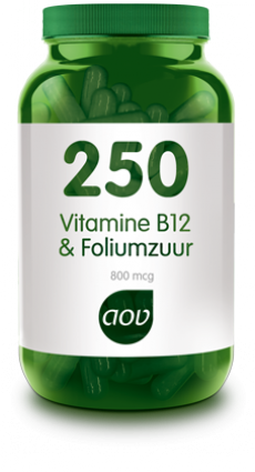 Leger Discriminatie op grond van geslacht Verspilling Vitamine B12 & Foliumzuur - 60 VegCaps - 250 | 970250